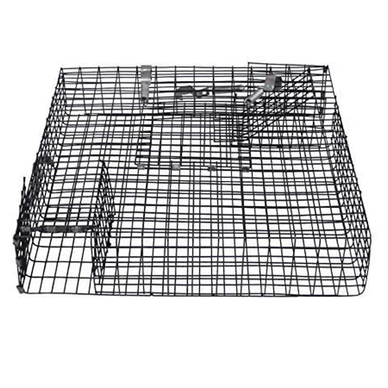 Rugged Ranch CHPTO Chipmunkinator Live Chipmunk Squirrel Metal 2 Door Cage Trap - Image 3