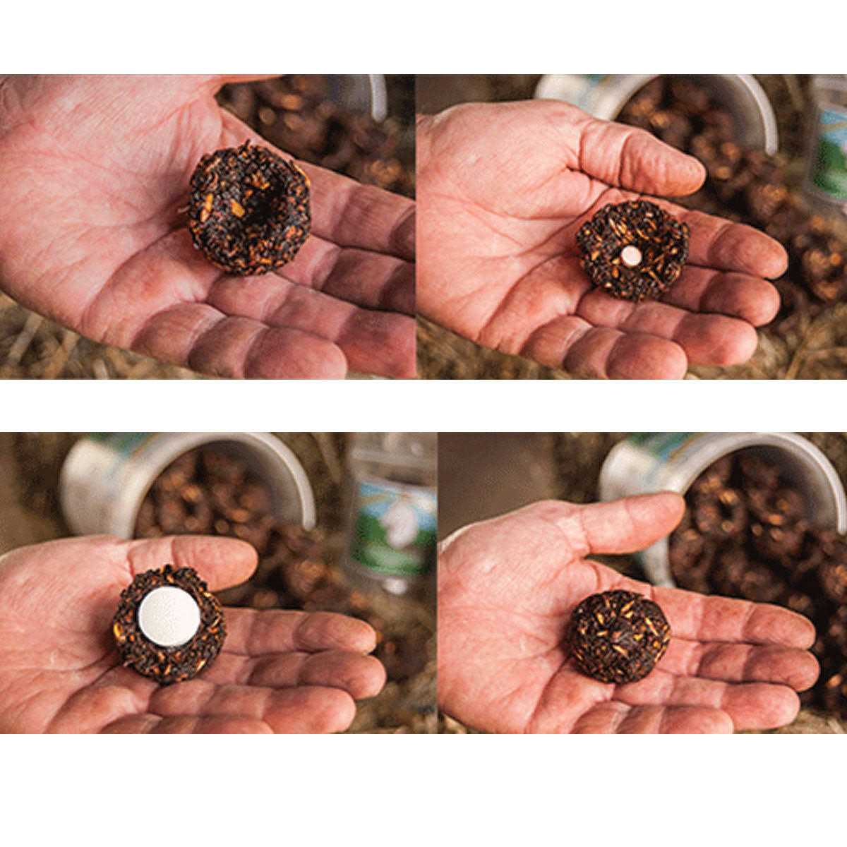 Dimples Horse Treats - Image 3