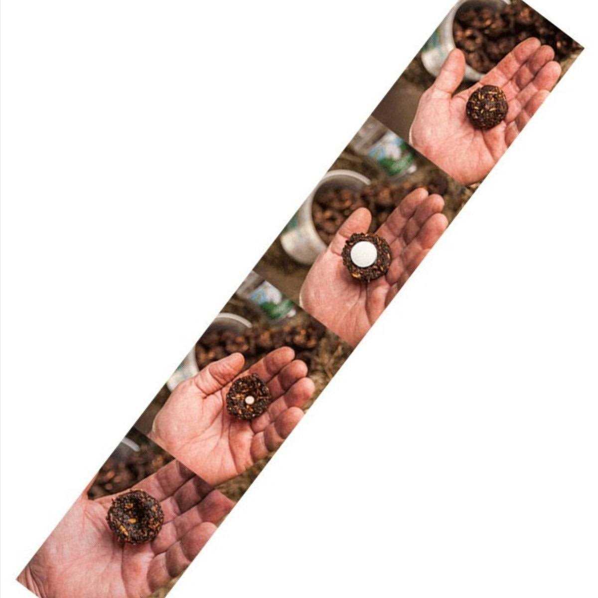 Dimples Horse Treats - Image 4