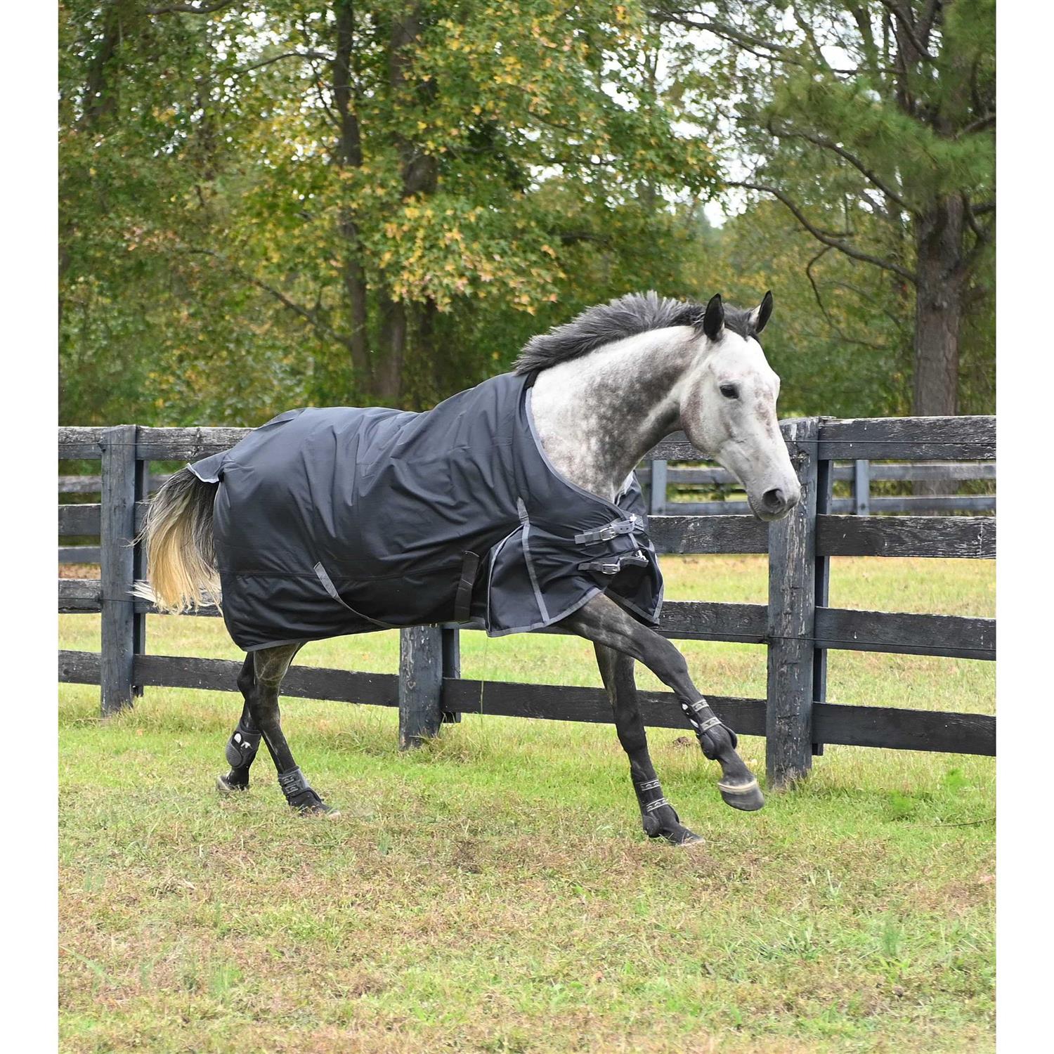 Gatsby 600D Waterproof Ripstop Turnout Sheet - Image 2