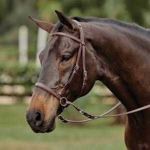 Dr. Cook Beta Bitless Bridle - Image 2