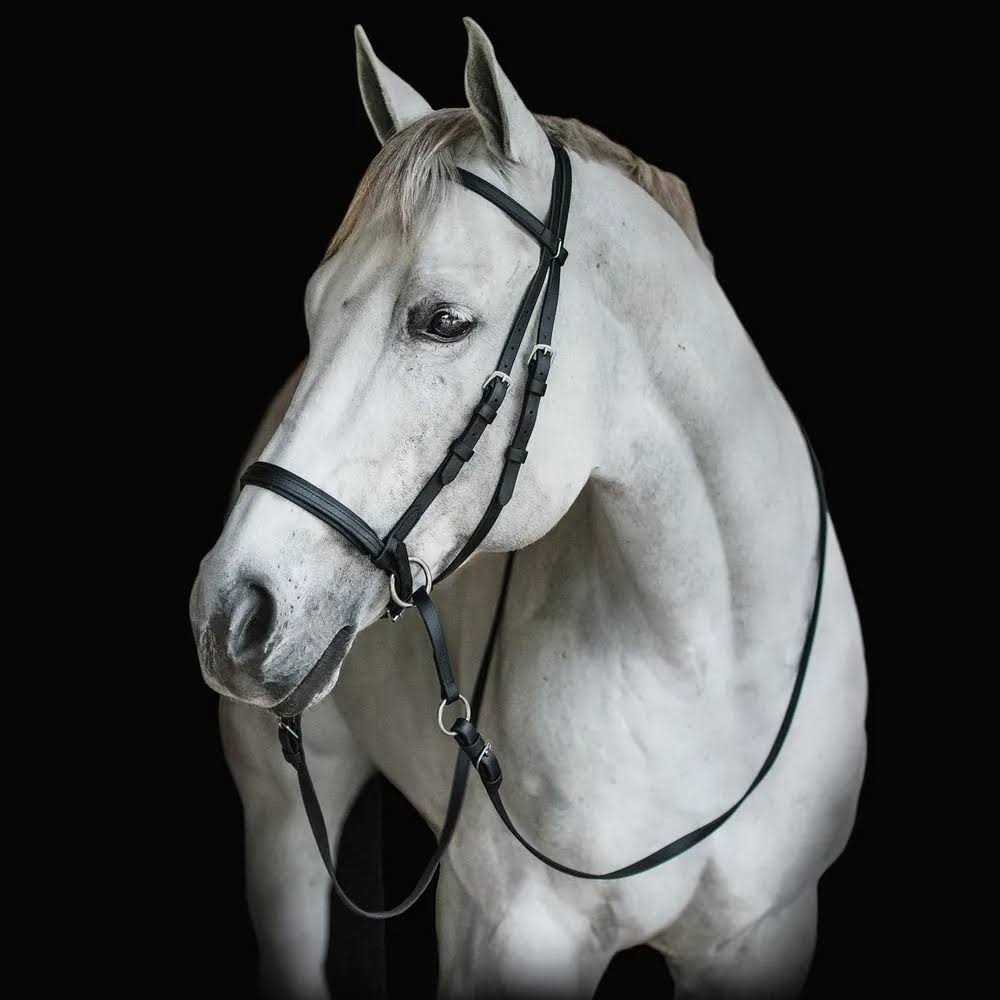 Dr. Cook Beta Bitless Bridle - Image 5