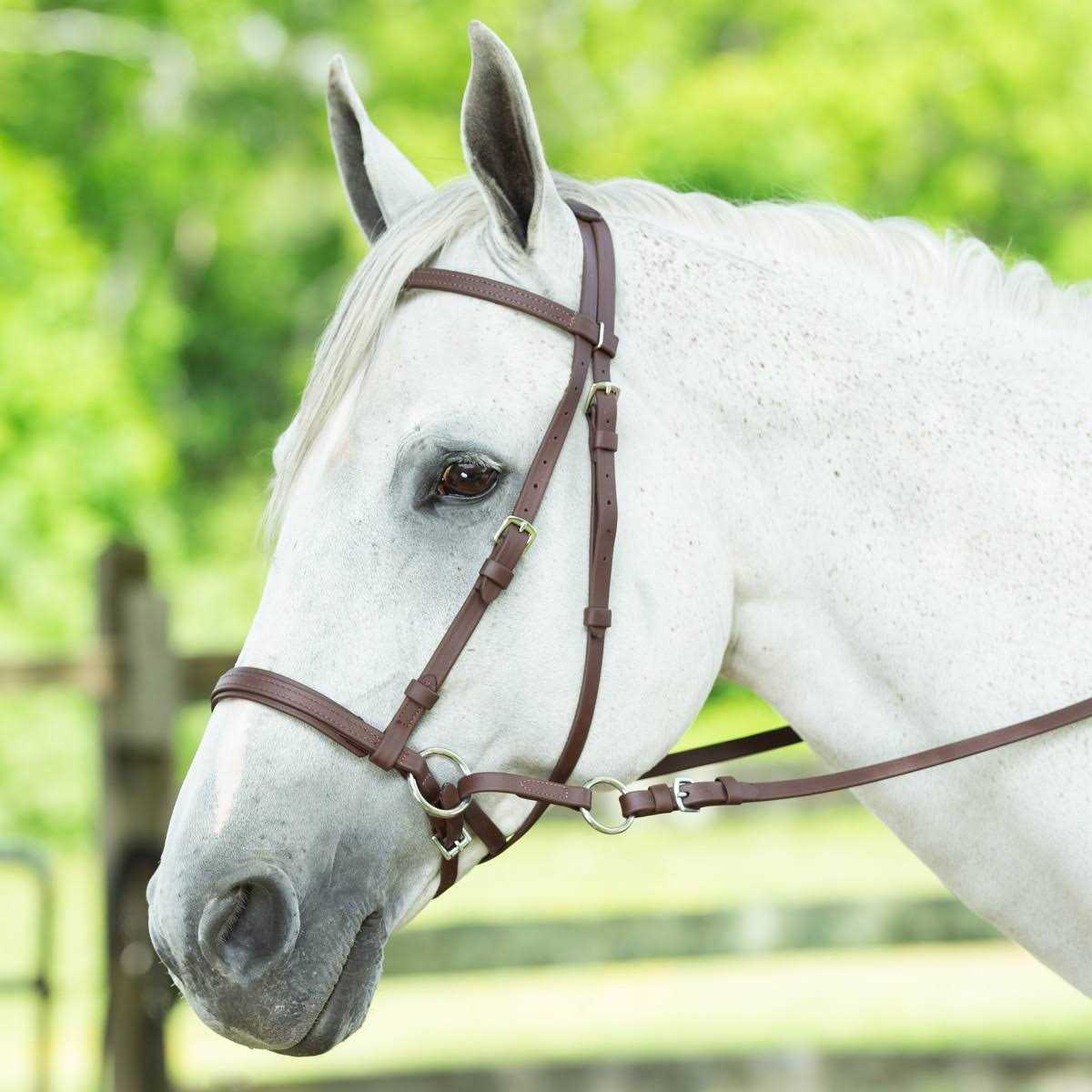 Dr. Cook Beta Bitless Bridle - Image 2