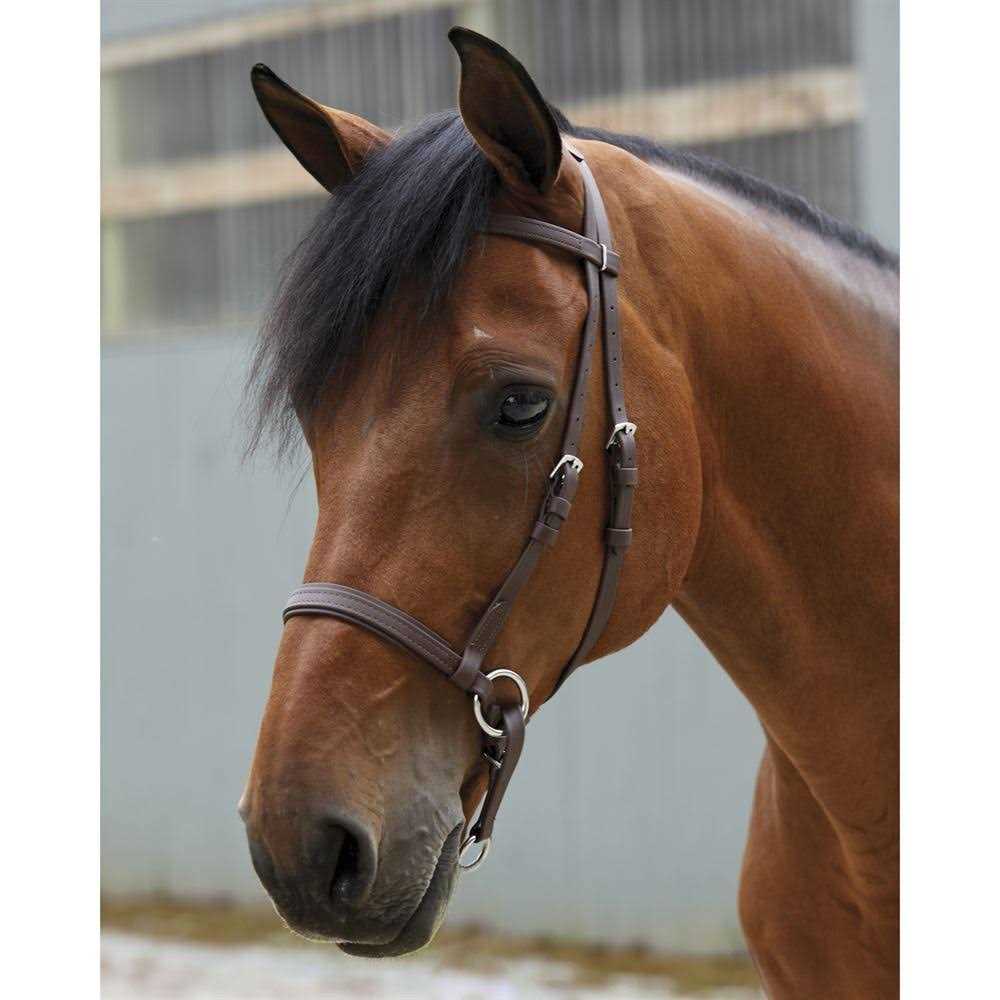 Dr. Cook Beta Bitless Bridle - Image 3