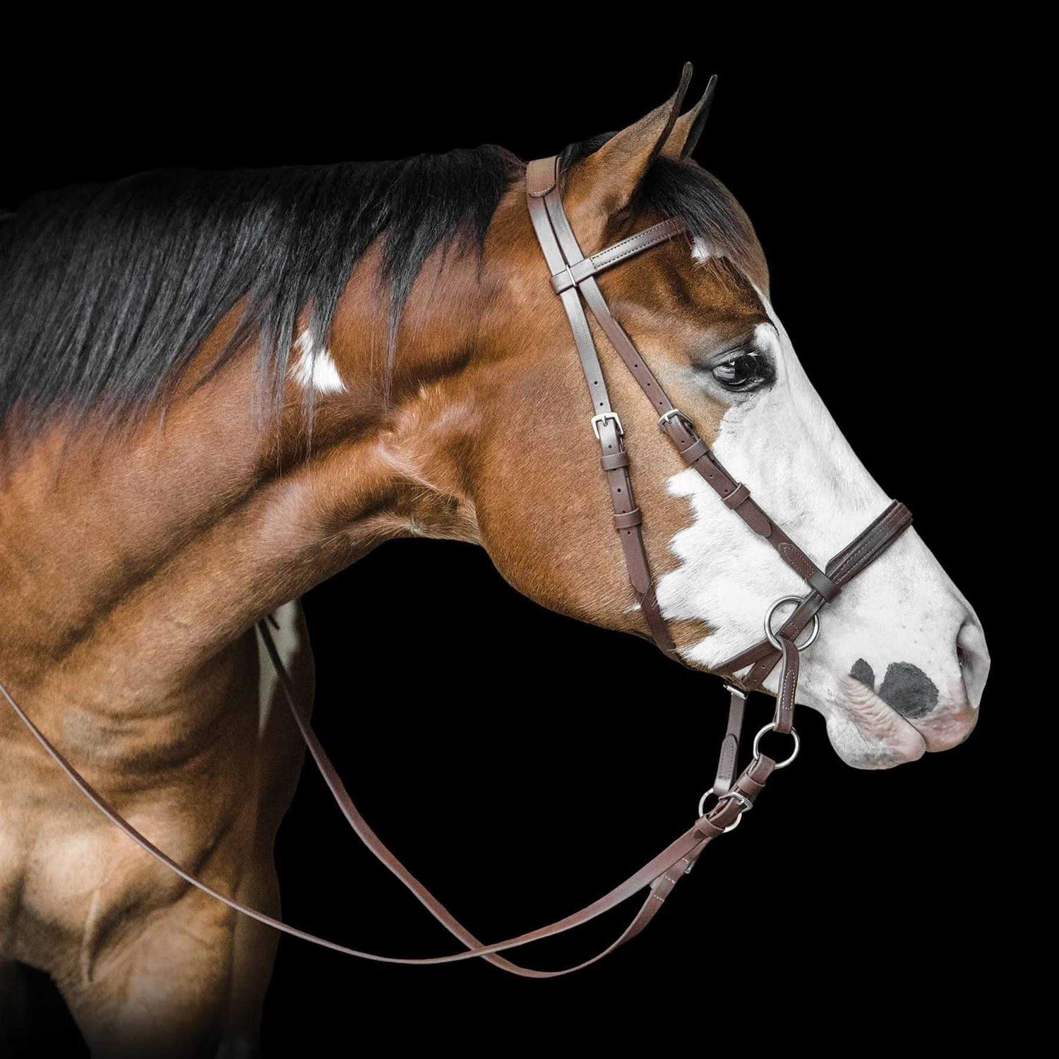Dr. Cook Beta Bitless Bridle - Image 5