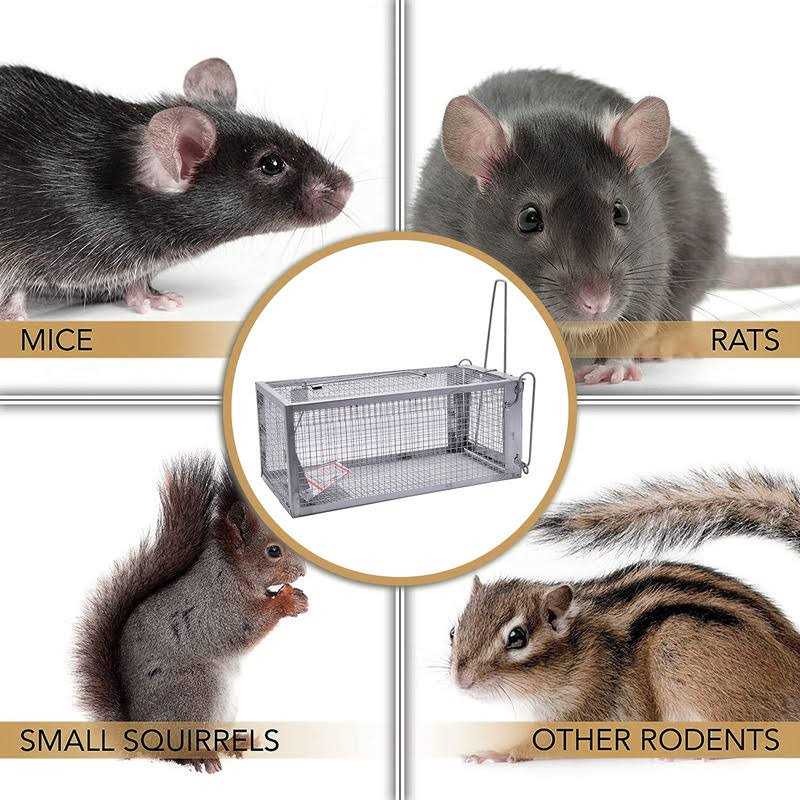 Predator Guard Squirrel Guard Trap Humane Multi-Catch Trap, Attracts & Catches Multiple Squirrels in 1 Trap - Image 3