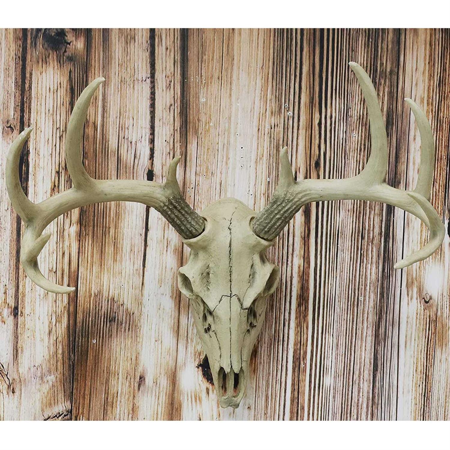 European Mount Skull Hanger 5 Skull Hooker Trophy Mounts Perfect Kit for Hanging and Mounting Bear,Deer - Image 5