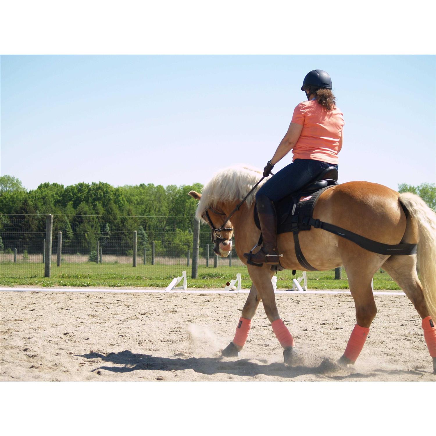 Equicore Complete Equiband System - Image 2