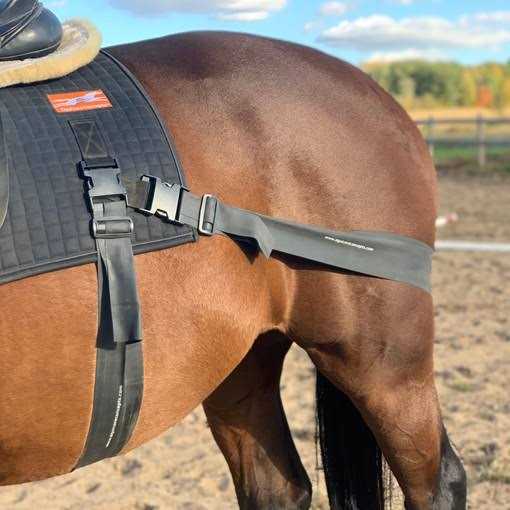 Equicore Complete Equiband System - Image 4