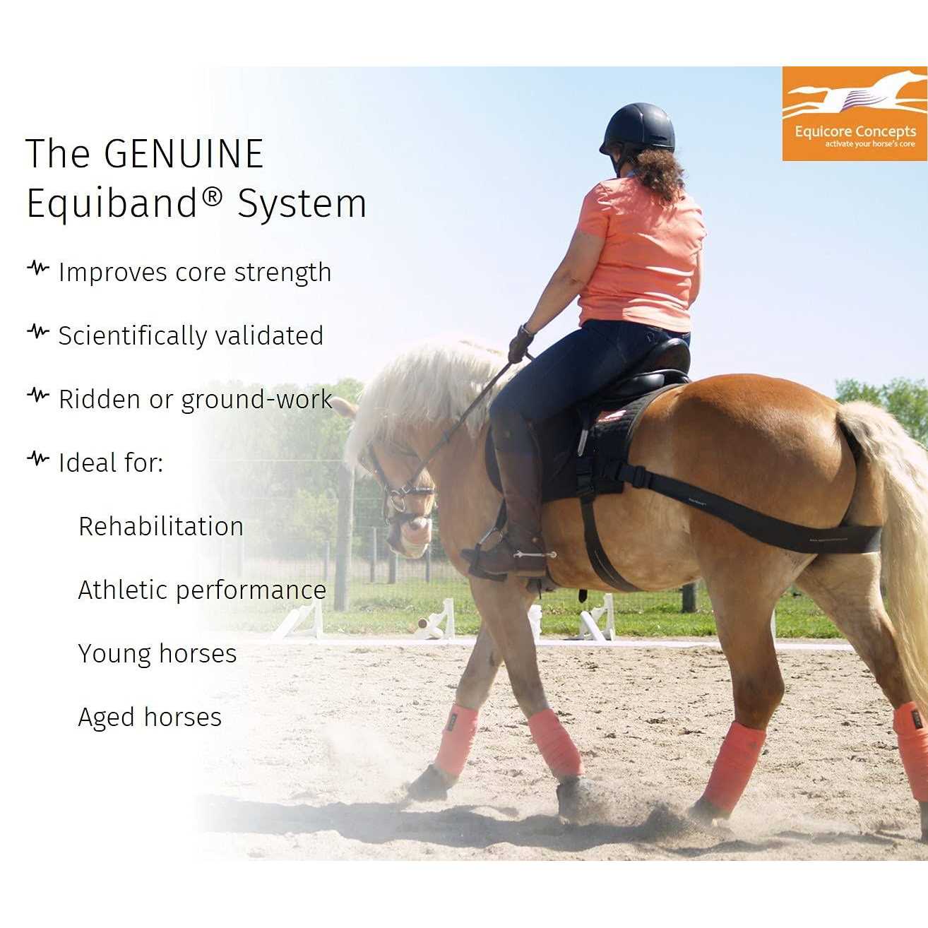 Equicore Complete Equiband System - Image 5