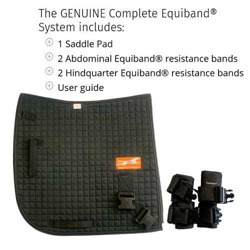 Equicore Complete Equiband System - Image 3