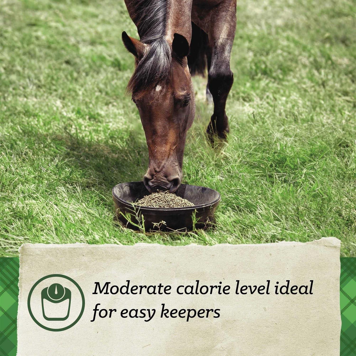 Nutrena SafeChoice Maintenance Horse Feed - Image 5