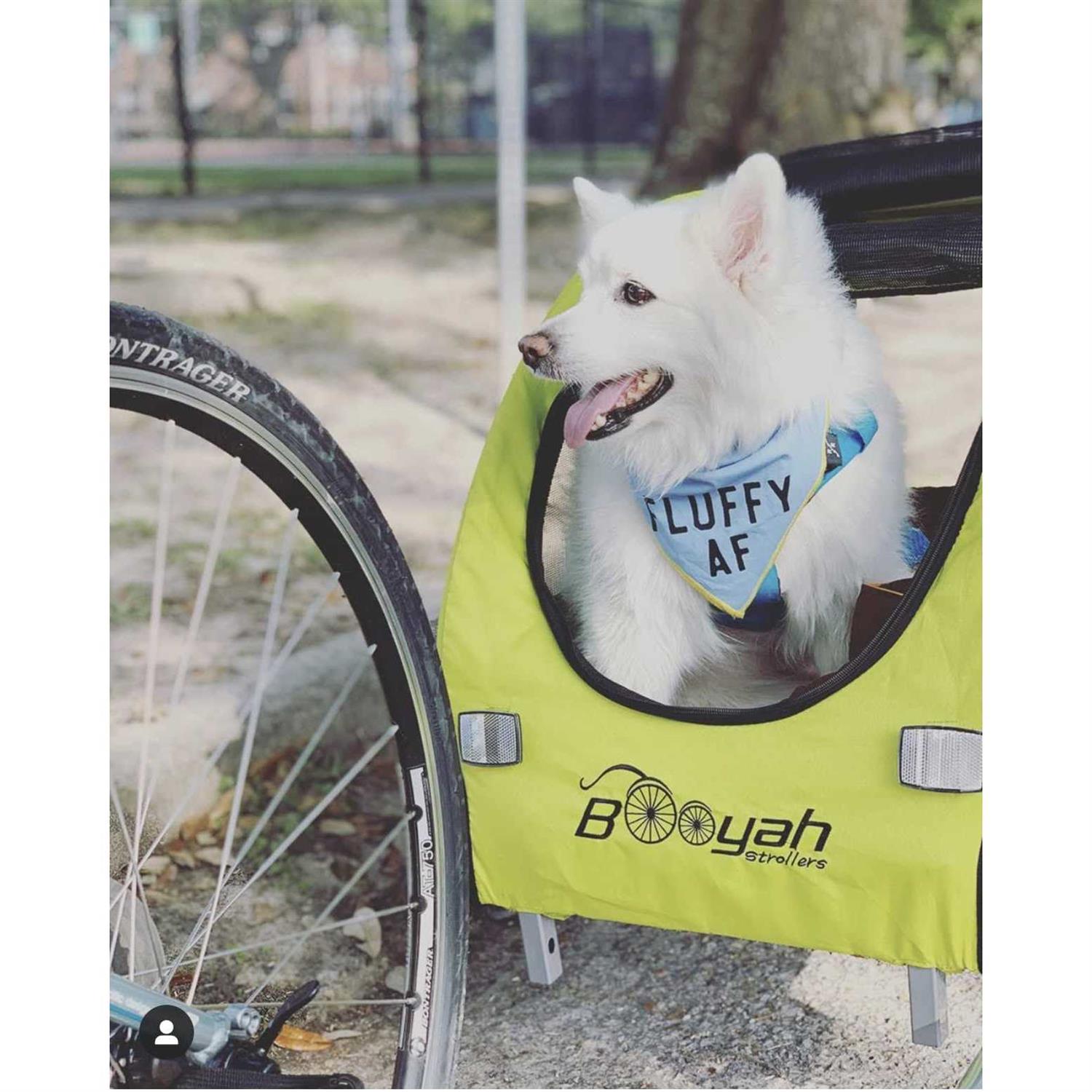 Alternative view of Booyah Pet Stroller and Trailer