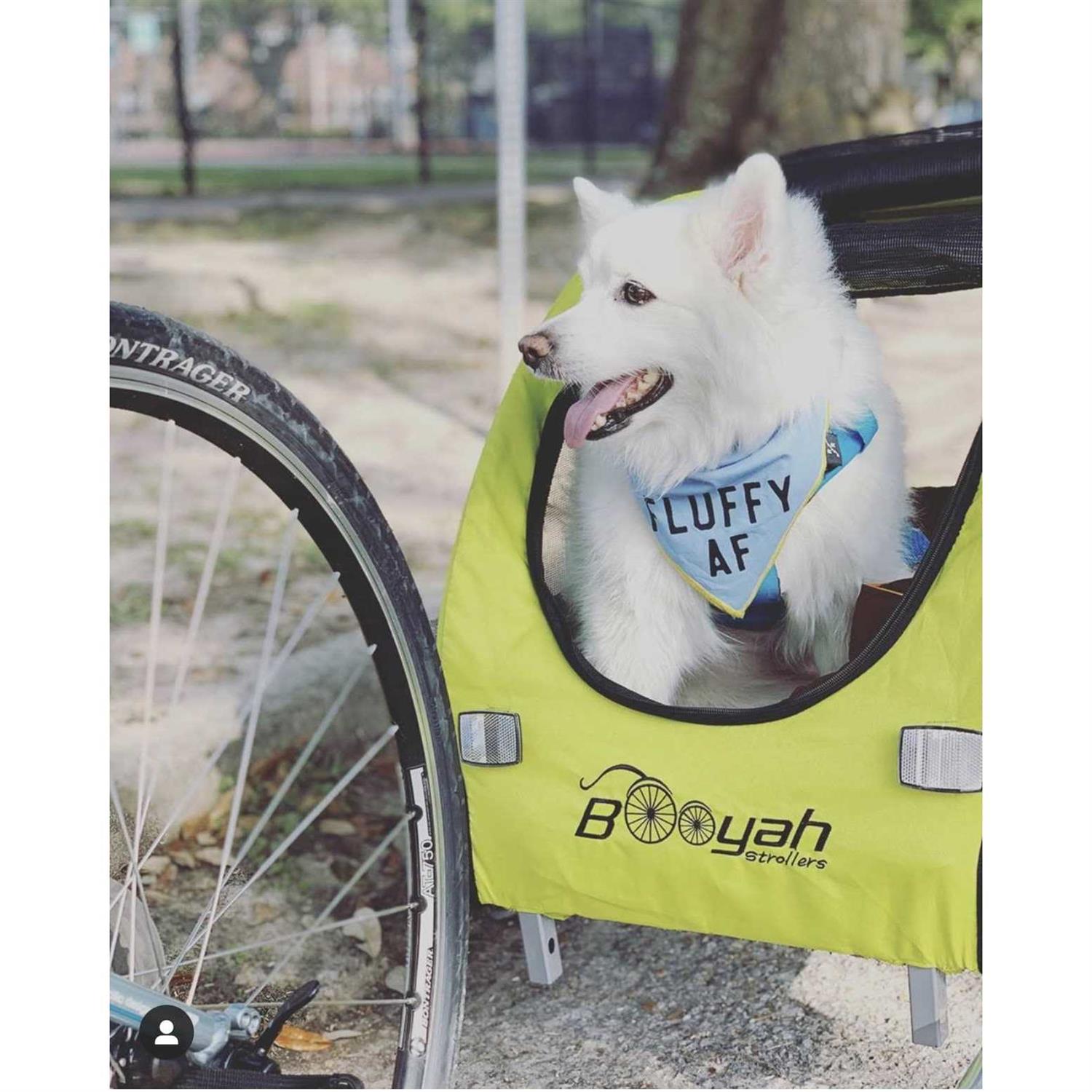 Alternative view of Booyah Pet Stroller and Trailer