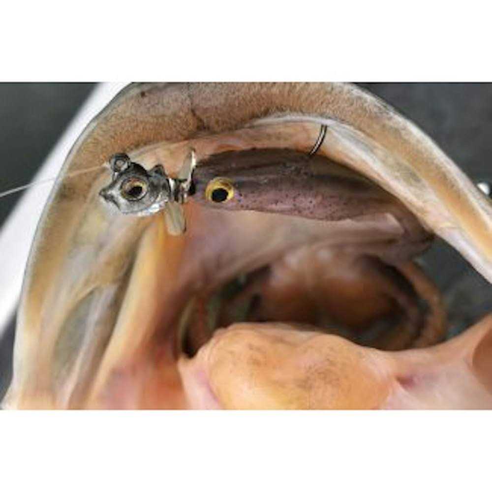 Megabass Okashira Screwhead - Image 5