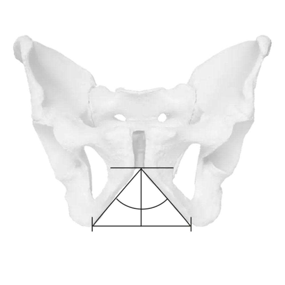 Ergon SMC Saddle Sport Gel - Image 2