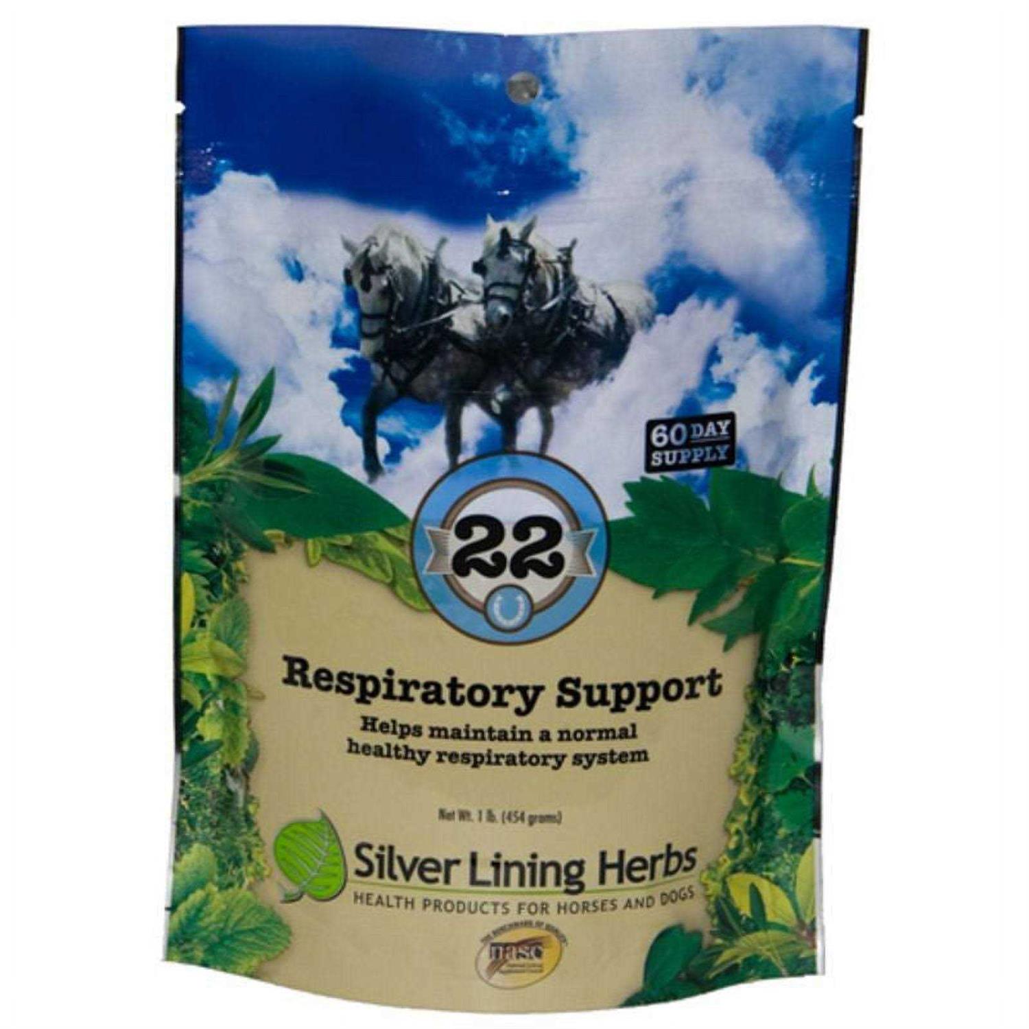 Silver Lining Herbs Respiratory Support for Horses - Image 2