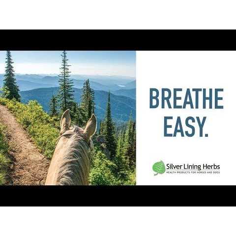 Silver Lining Herbs Respiratory Support for Horses - Image 3