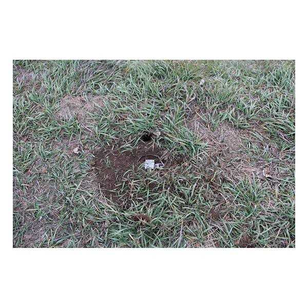 Duke Pro Series Spring Coil Trap 650 OS - Image 2