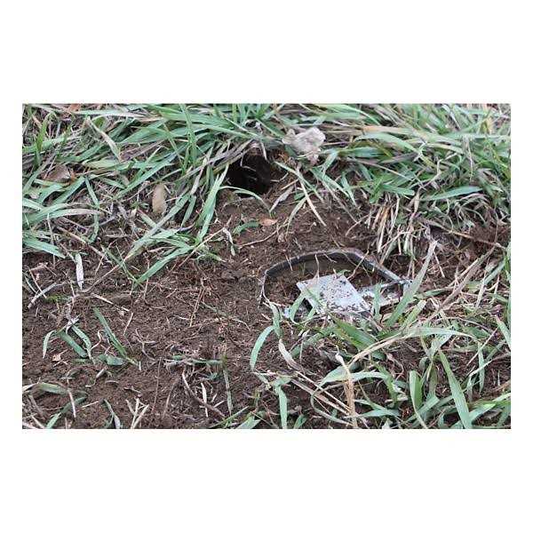 Duke Pro Series Spring Coil Trap 650 OS - Image 3