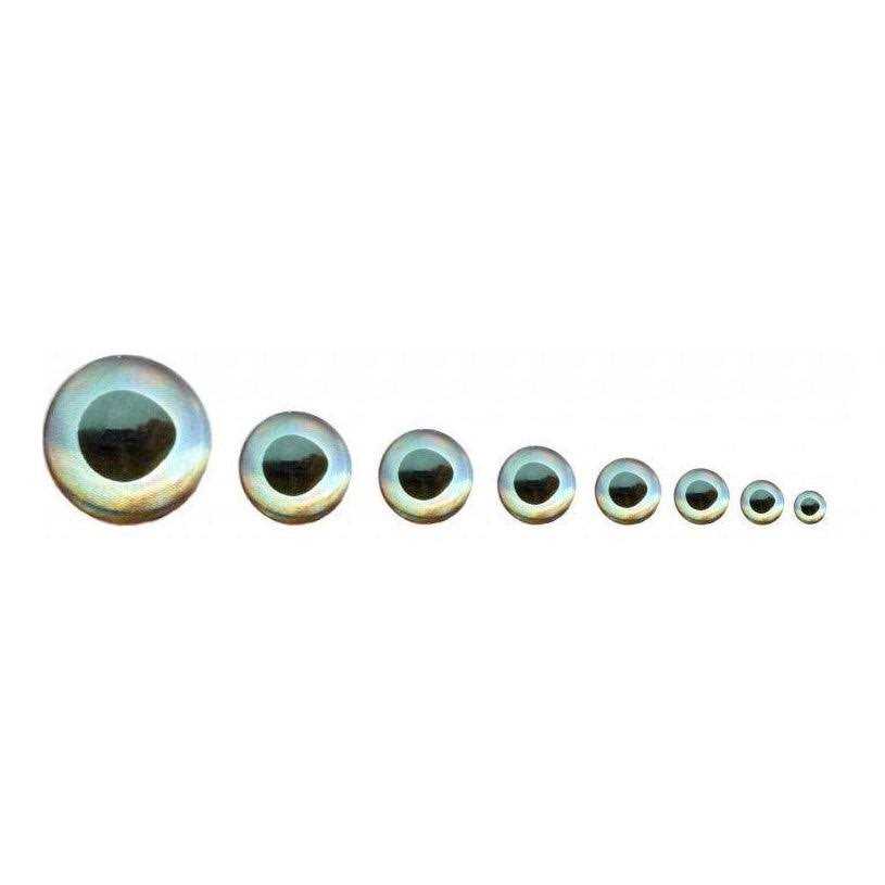 Fish Skull Living Eyes - Image 3