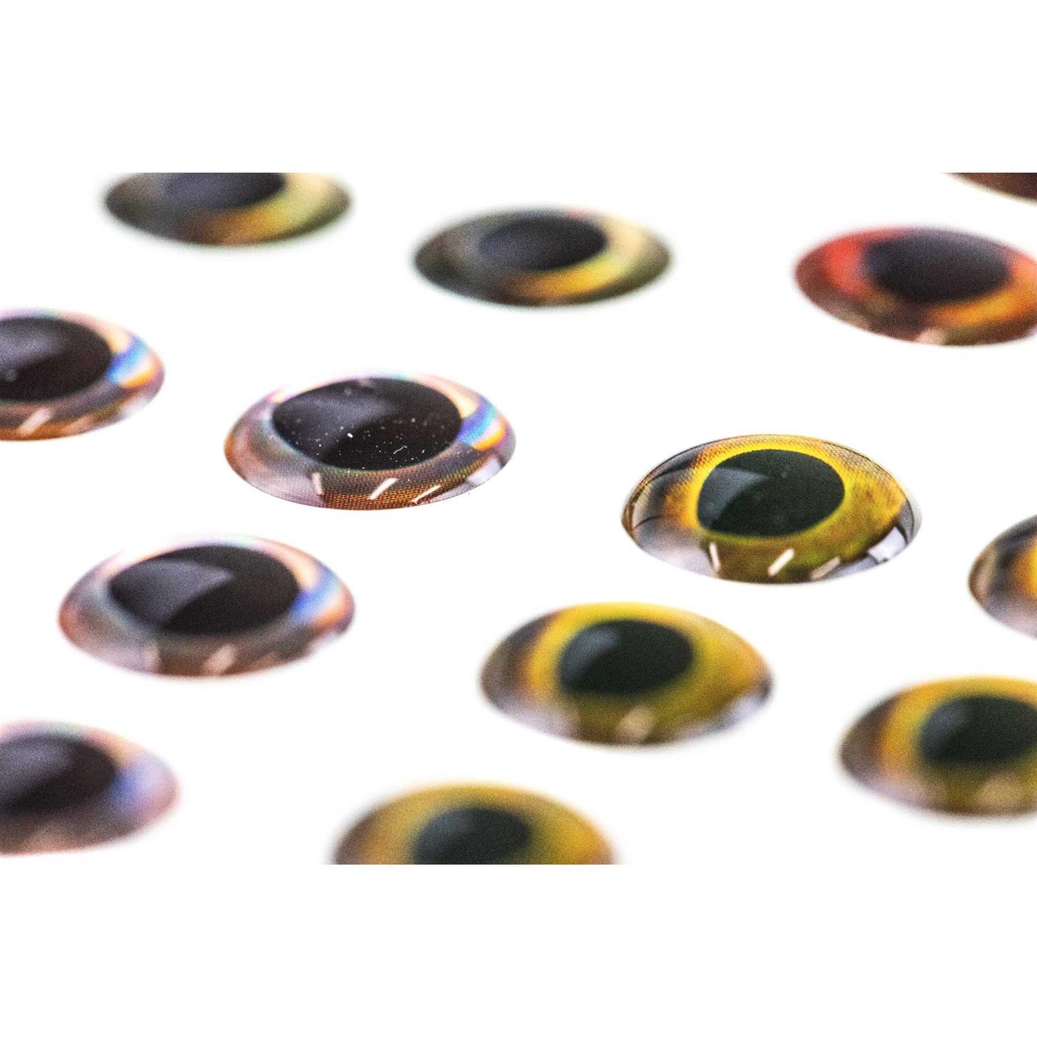 Fish Skull Living Eyes - Image 4
