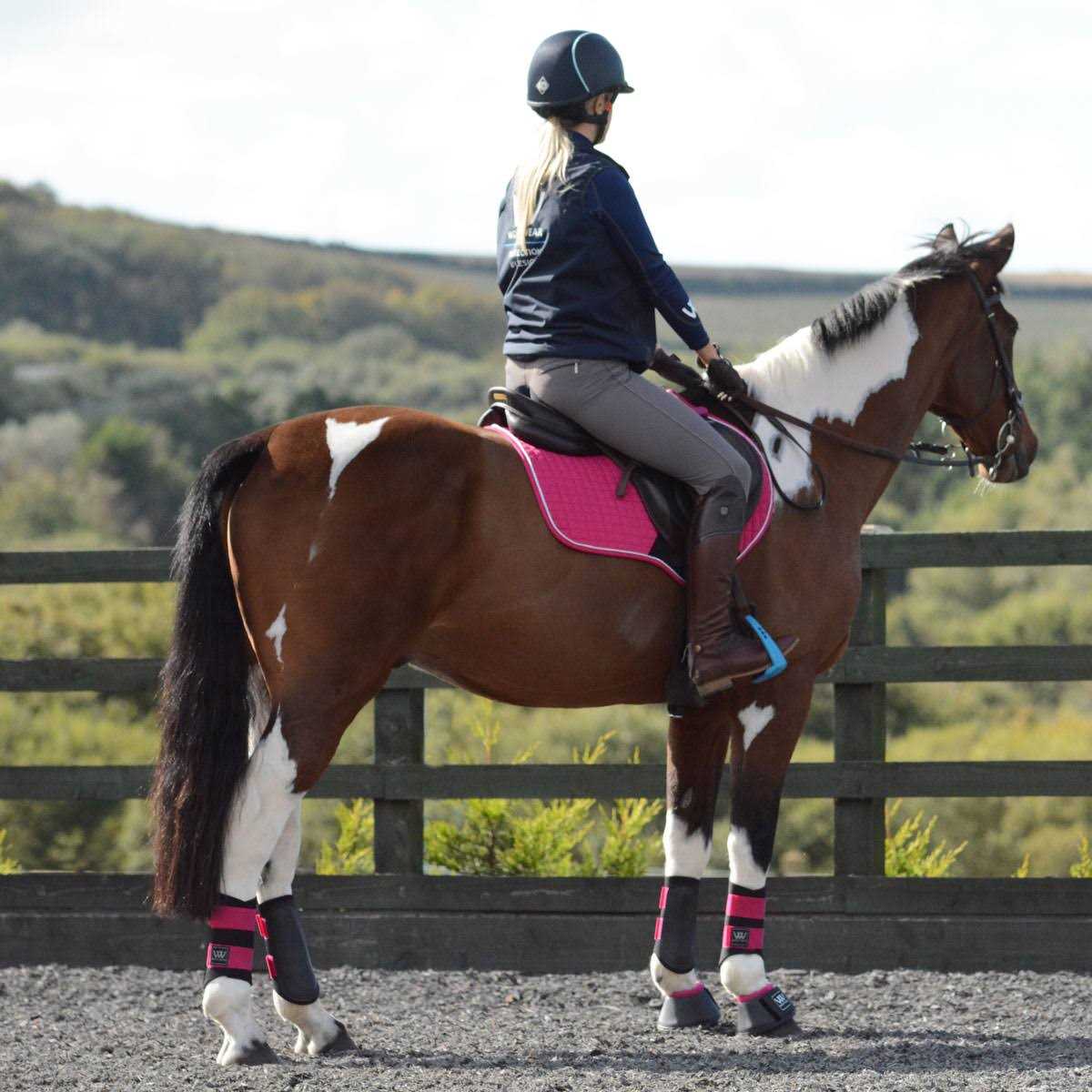 Woof Wear Sport Brushing Boots - Image 4