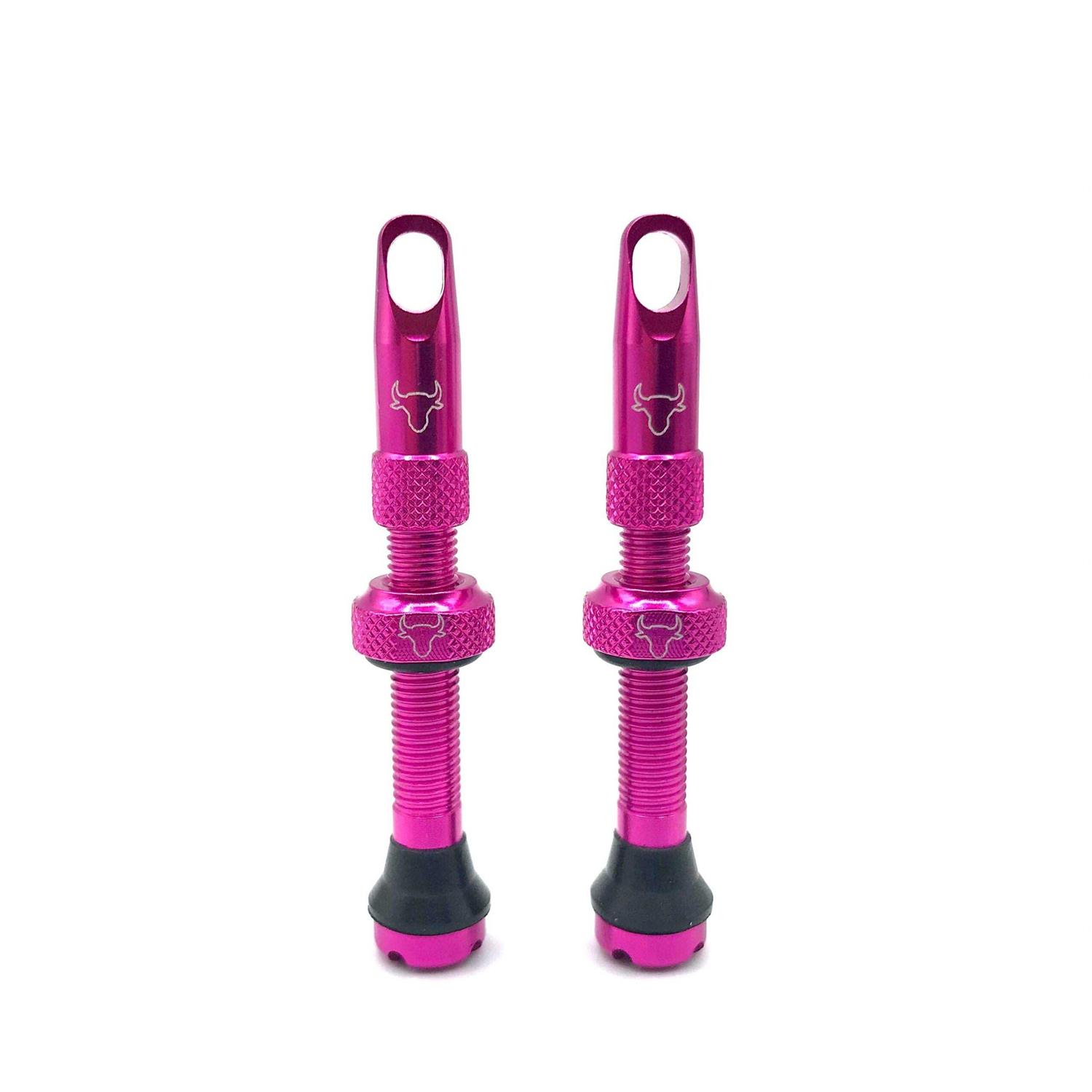 Hold Fast Cycling Tubeless Valve Stem - Image 2