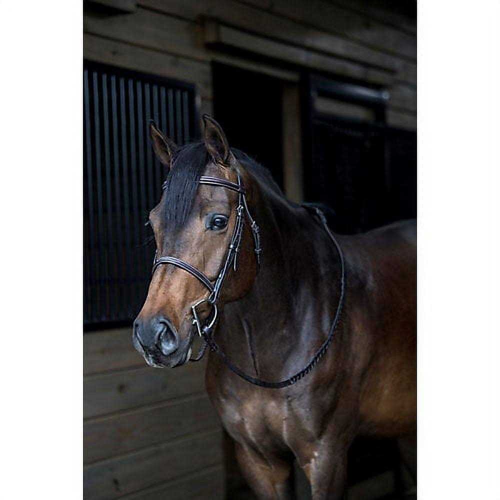 Gatsby Bridle - Image 4