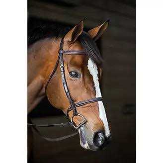 Gatsby Bridle - Image 5