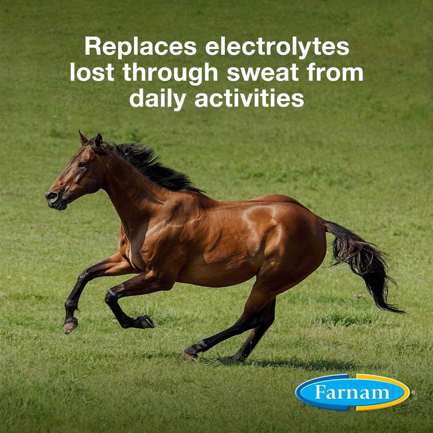 Farnam Apple Elite Electrolyte - Image 3