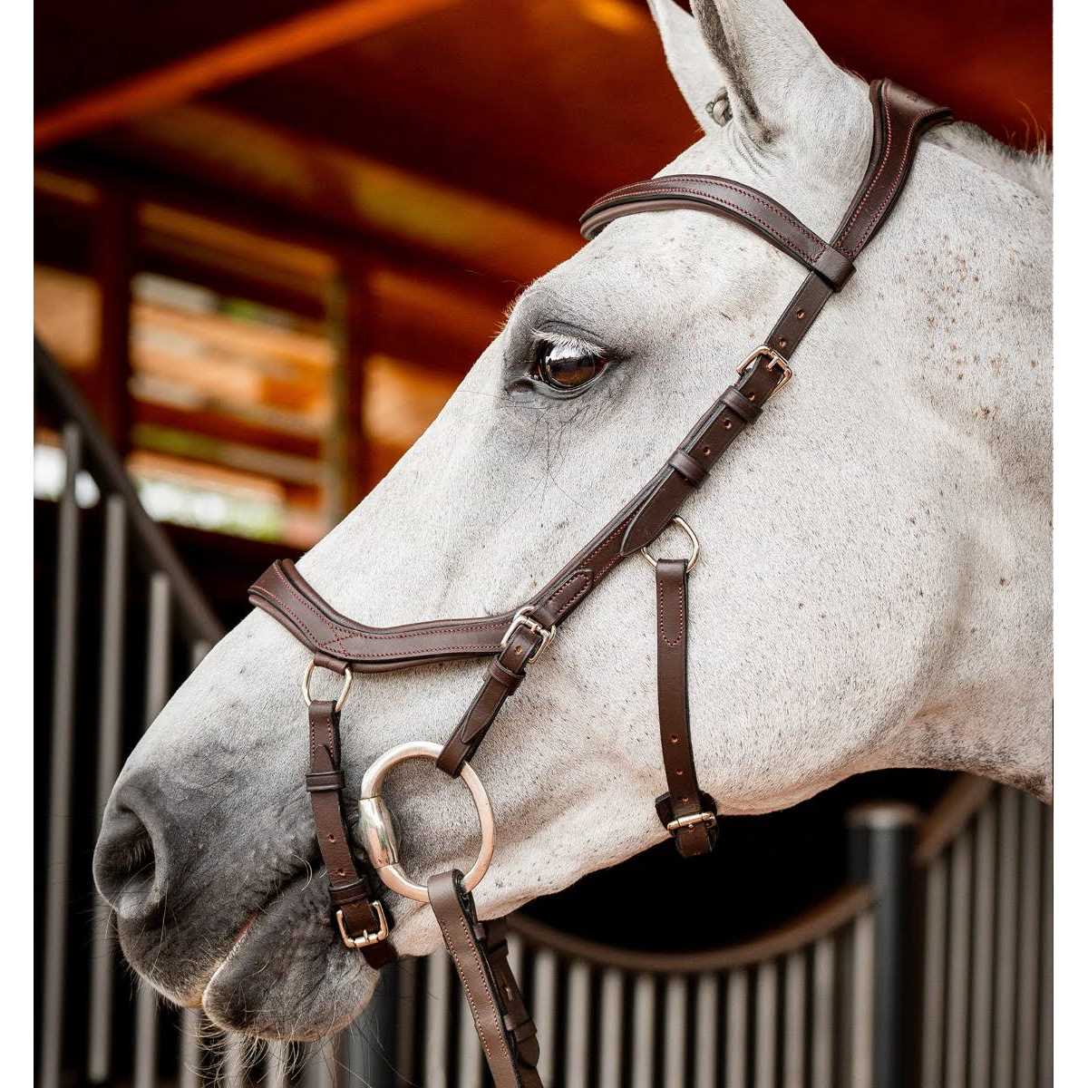 Horseware Micklem 2 Competition Bridle - Image 5