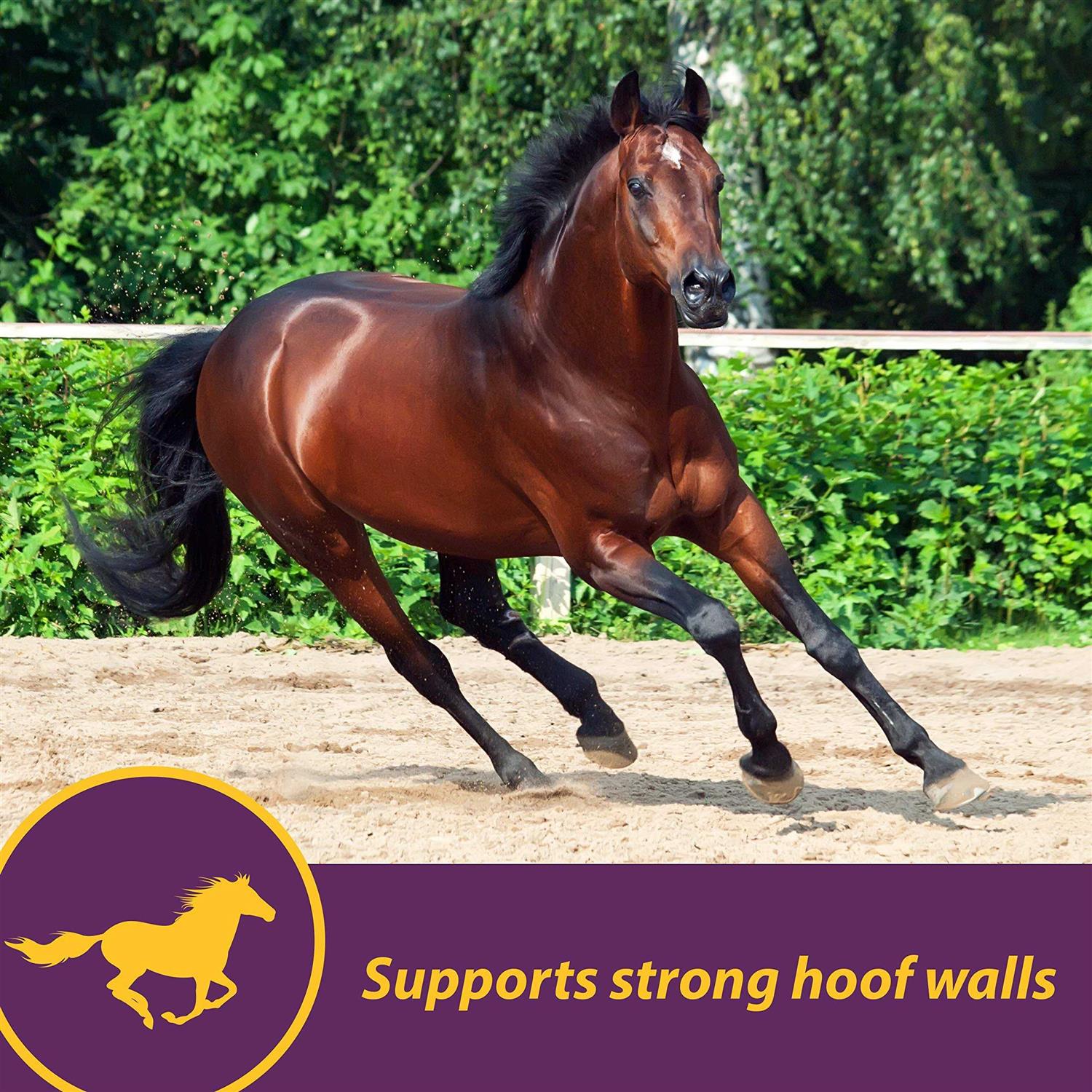 Horse Health Vita Biotin Crumbles - Image 5