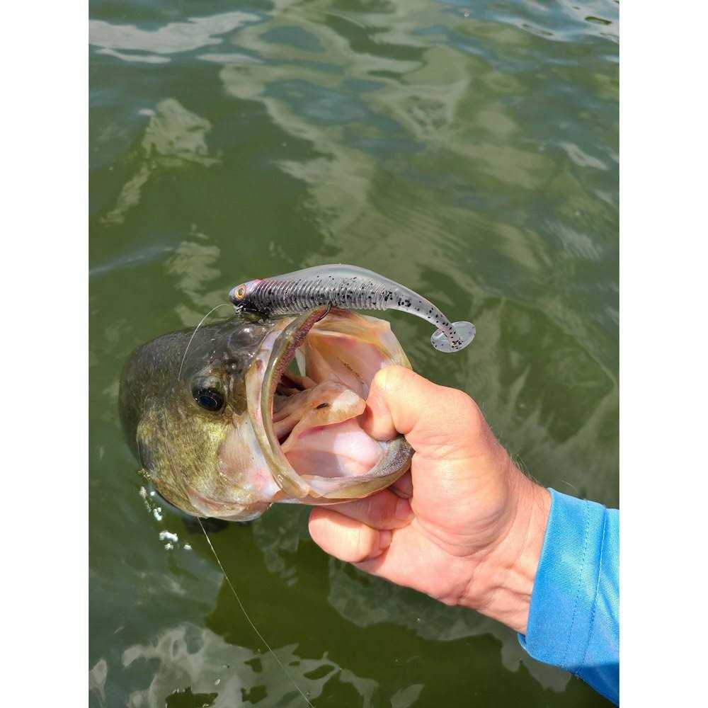 Storm 360GT Searchbait - Image 5