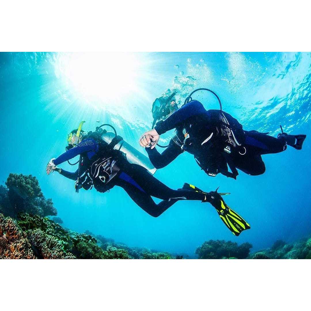 Tusa Open Heel Solla Fins - Image 4