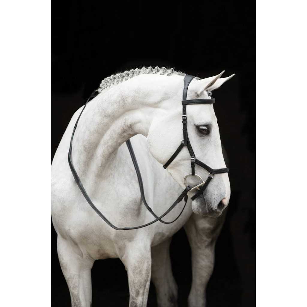 Rambo Micklem Competition Bridle