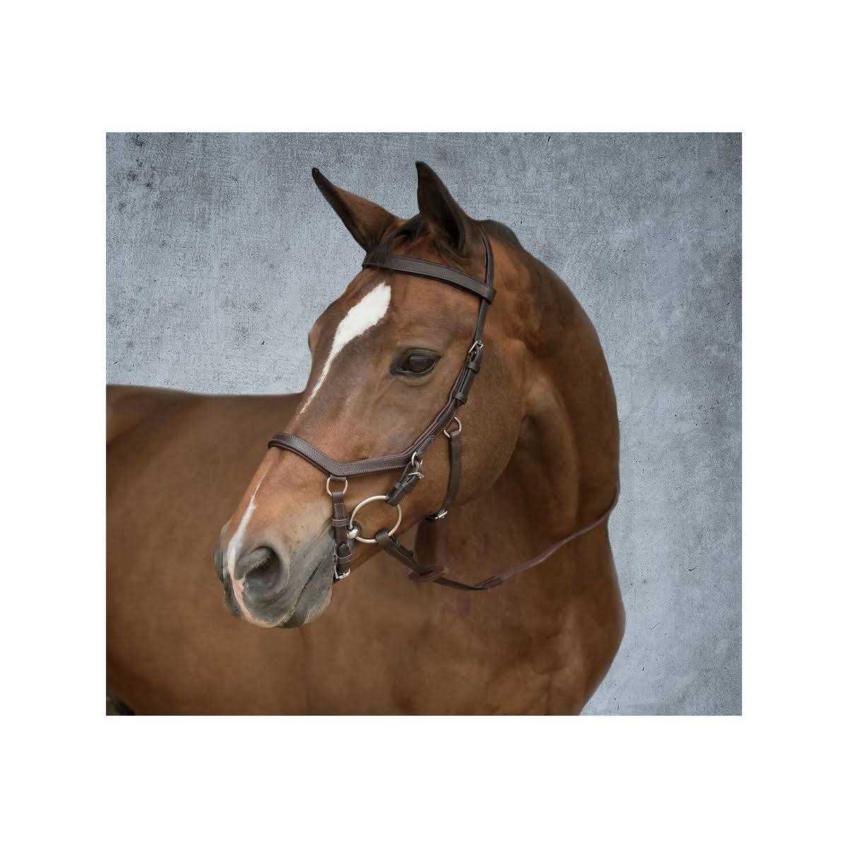 Rambo Micklem Competition Bridle - Image 2