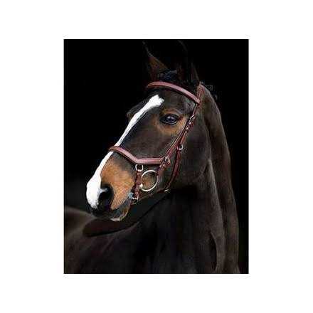 Rambo Micklem Competition Bridle - Image 4