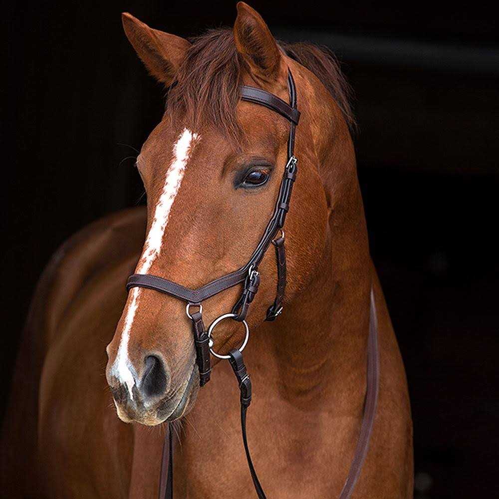 Rambo Micklem Competition Bridle - Image 2