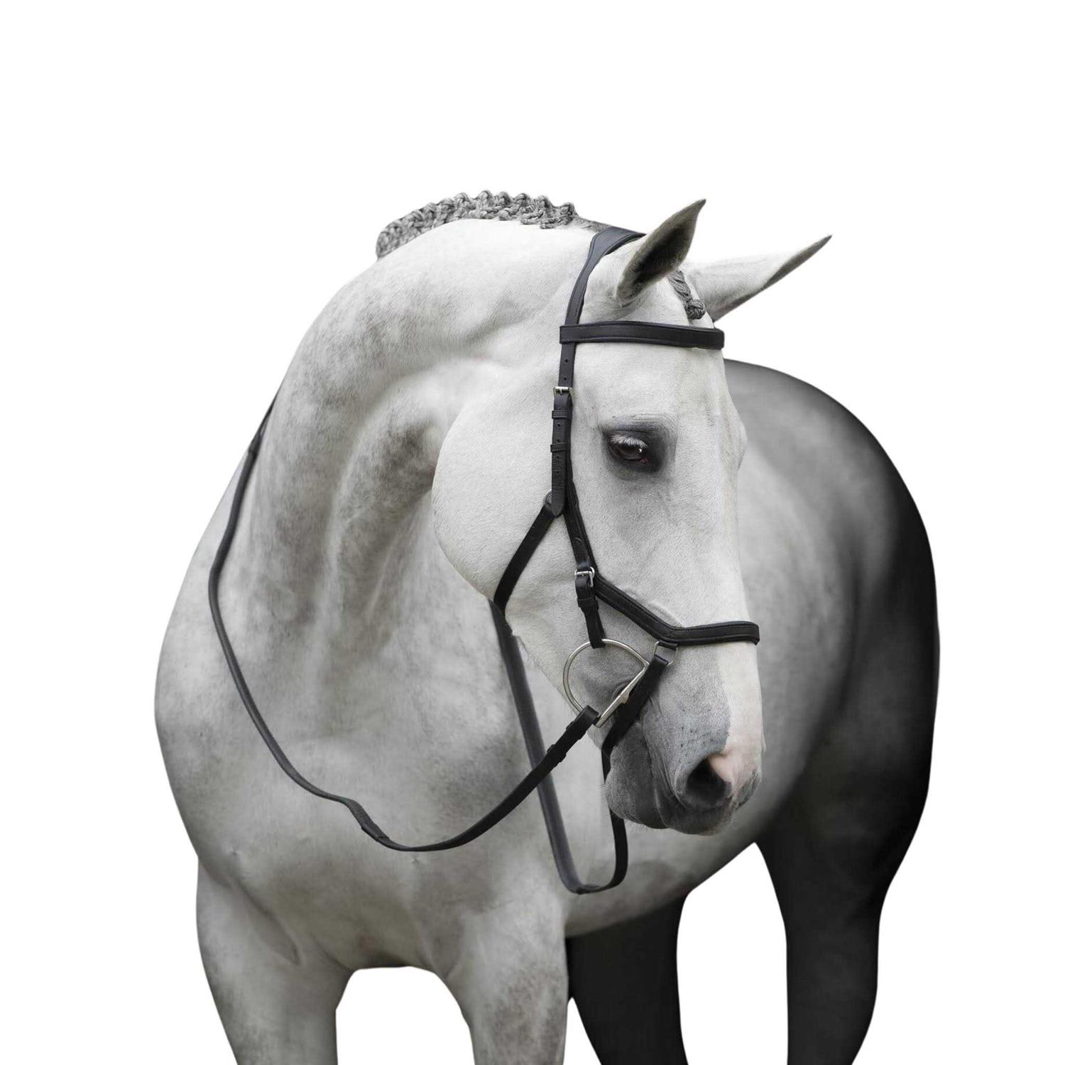 Rambo Micklem Competition Bridle - Image 4