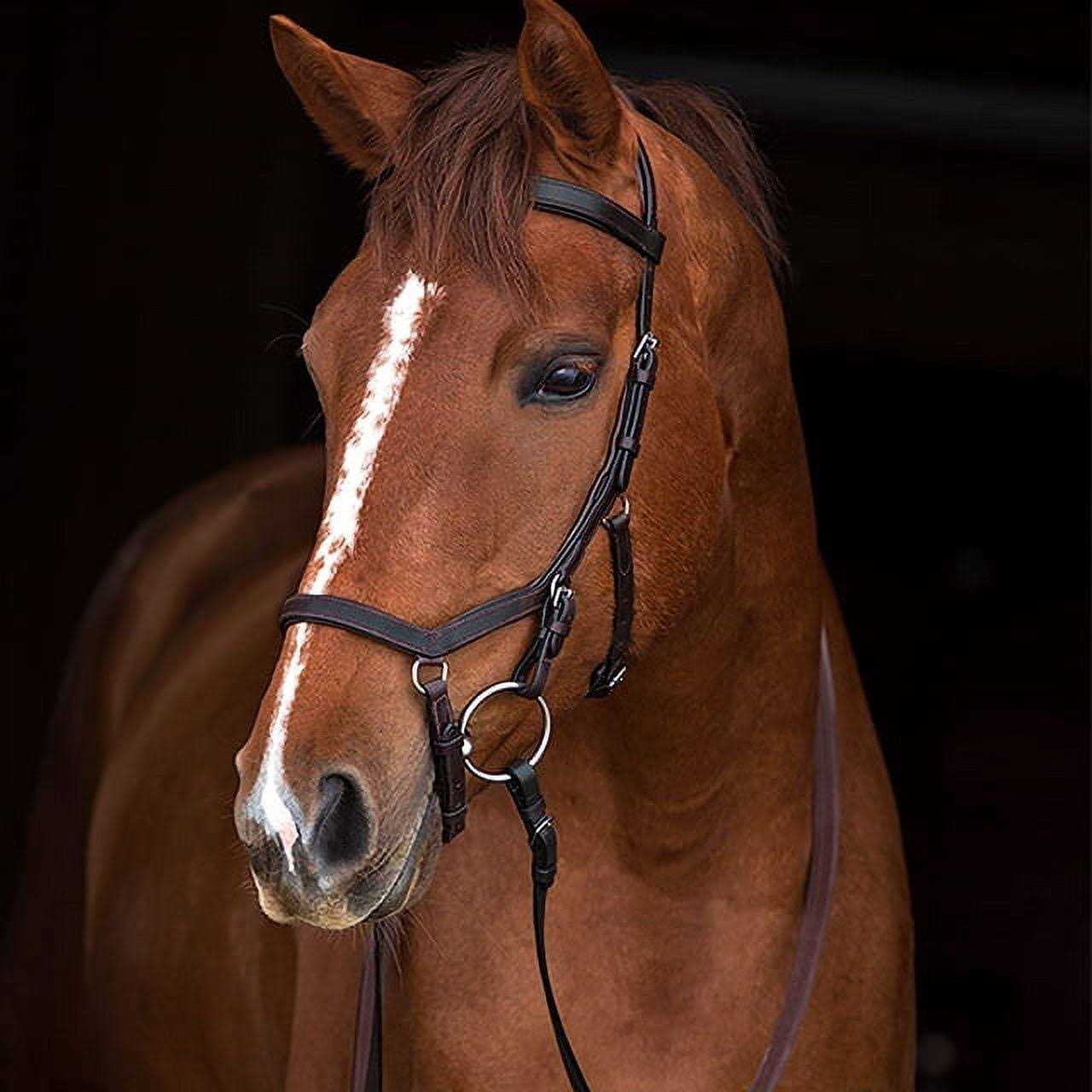 Rambo Micklem Competition Bridle - Image 2