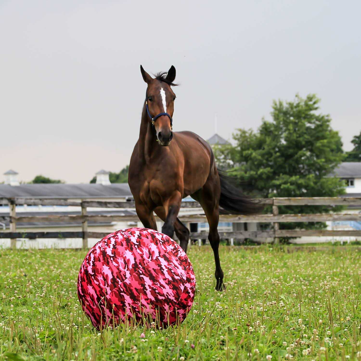Horsemen's Pride Mega Ball Cover - Image 2