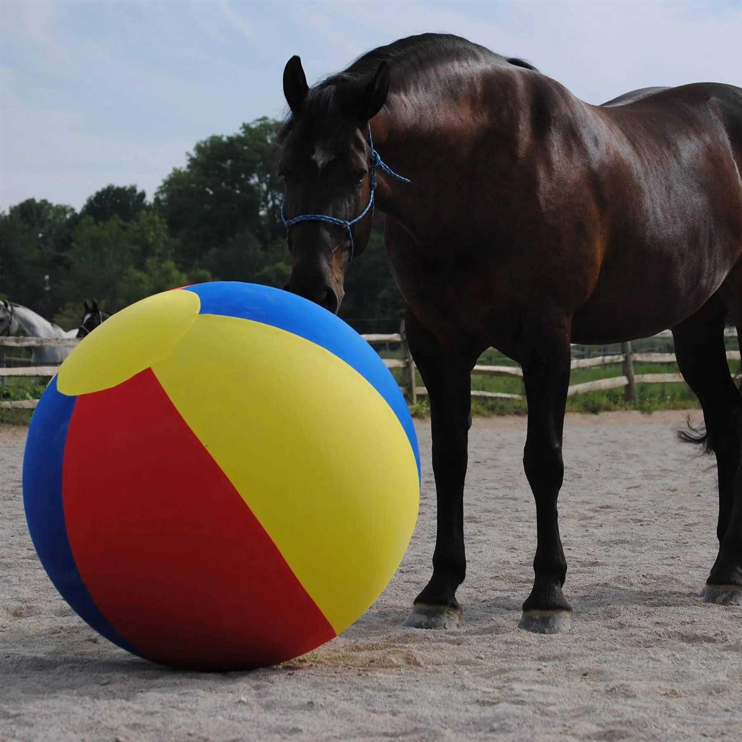Horsemen's Pride Mega Ball Cover - Image 4