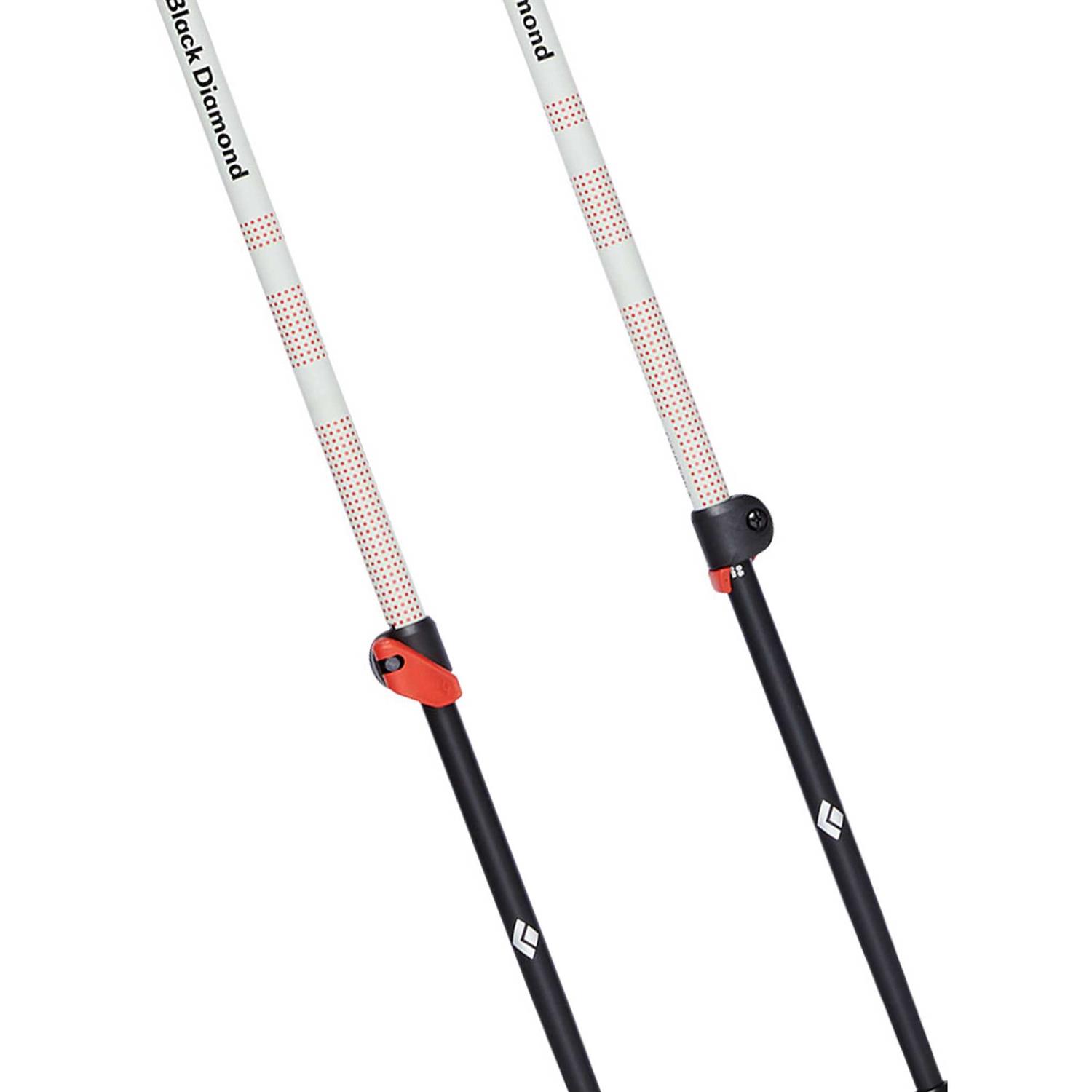 Black Diamond Expedition 2 Ski Poles - Image 2