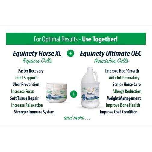 Equinety Ultimate OEC - Image 5
