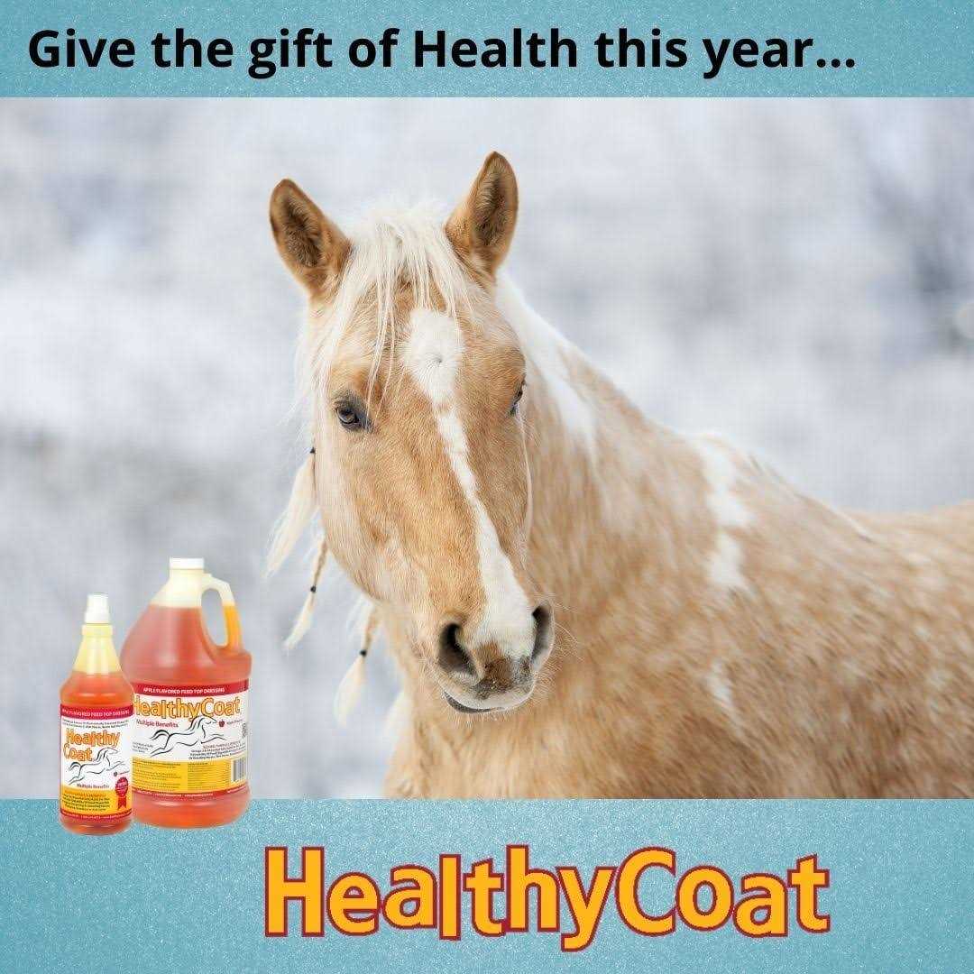 Healthy Coat Supplement - Image 5