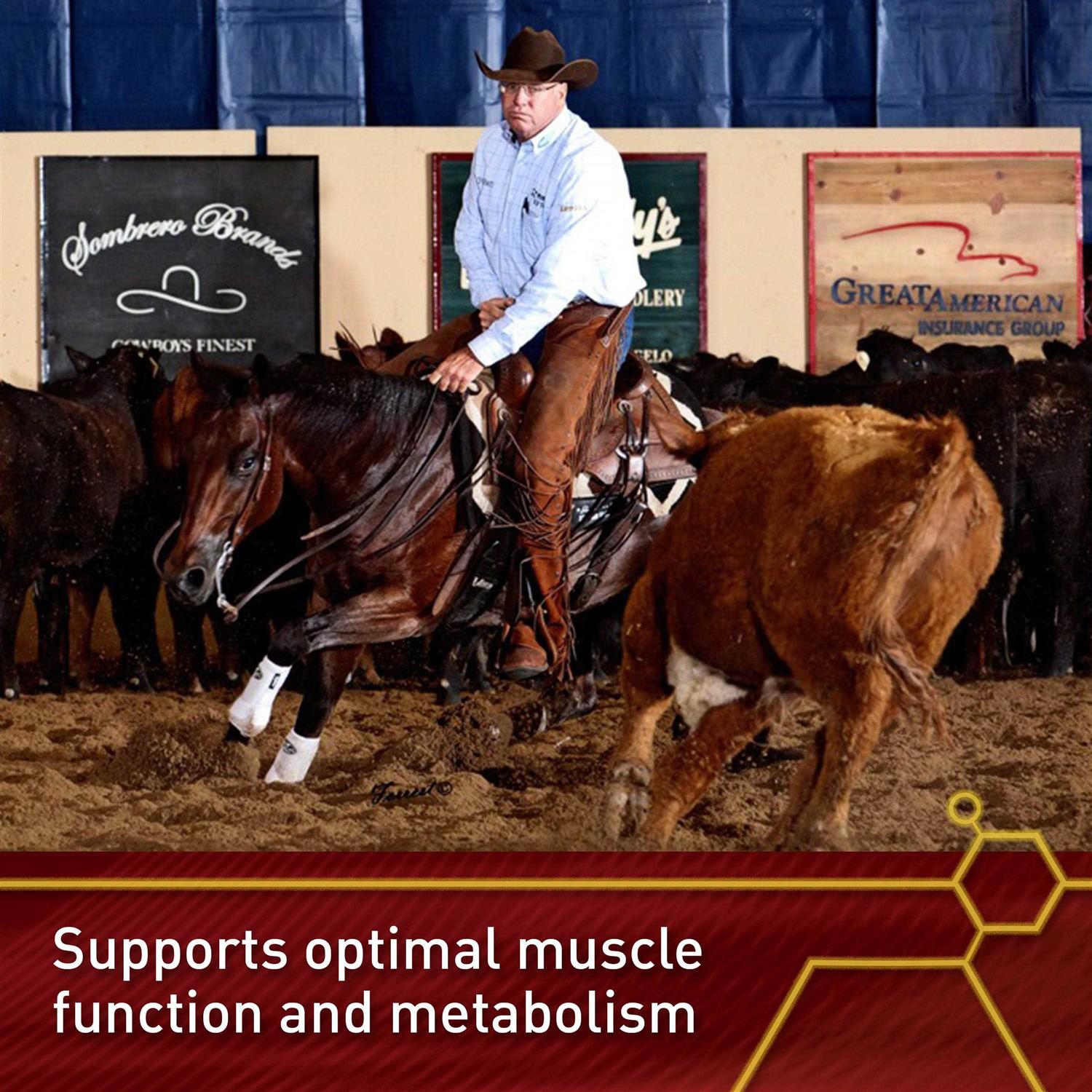 Vita Flex Lactanase - Image 4