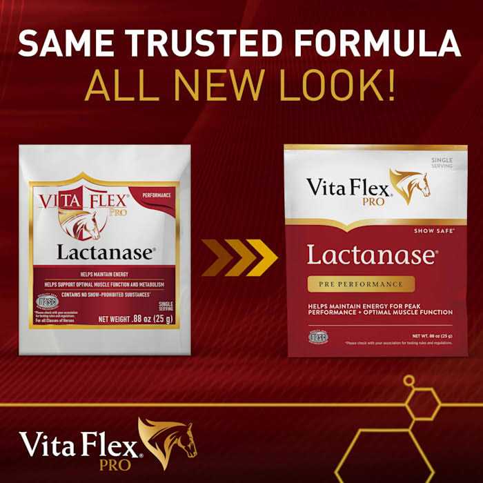Vita Flex Lactanase - Image 5