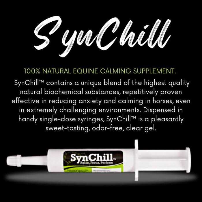 SynChill Oral Horse Calming Gel