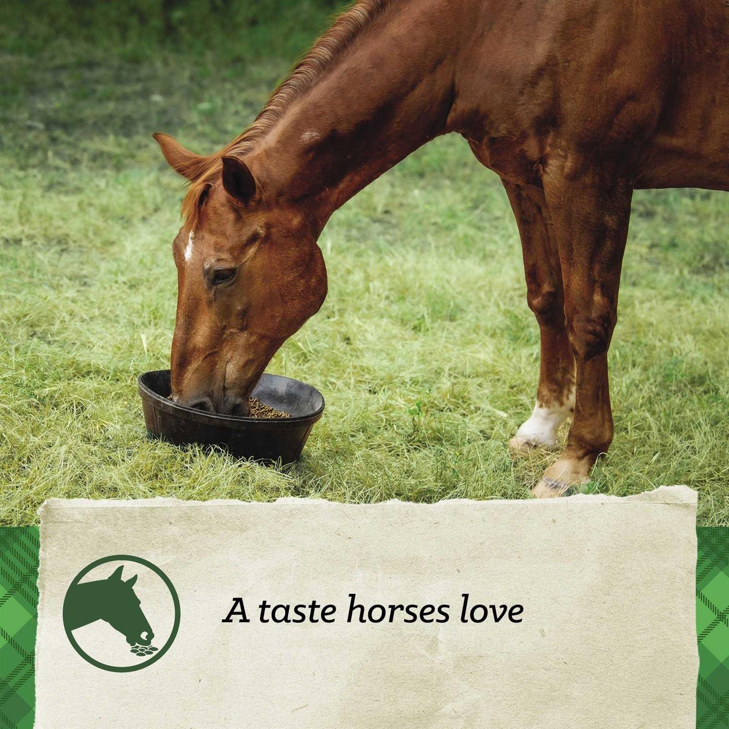 Nutrena SafeChoice Mare & Foal Feed - Image 2
